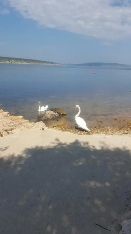 Apartmani Ana - Meka Draga Obrovac Croatia
